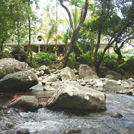 La Plaine Citrus Creek Plantationヴィラ エクステリア 写真