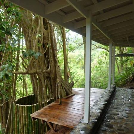 La Plaine Citrus Creek Plantationヴィラ エクステリア 写真