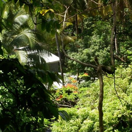 La Plaine Citrus Creek Plantationヴィラ エクステリア 写真
