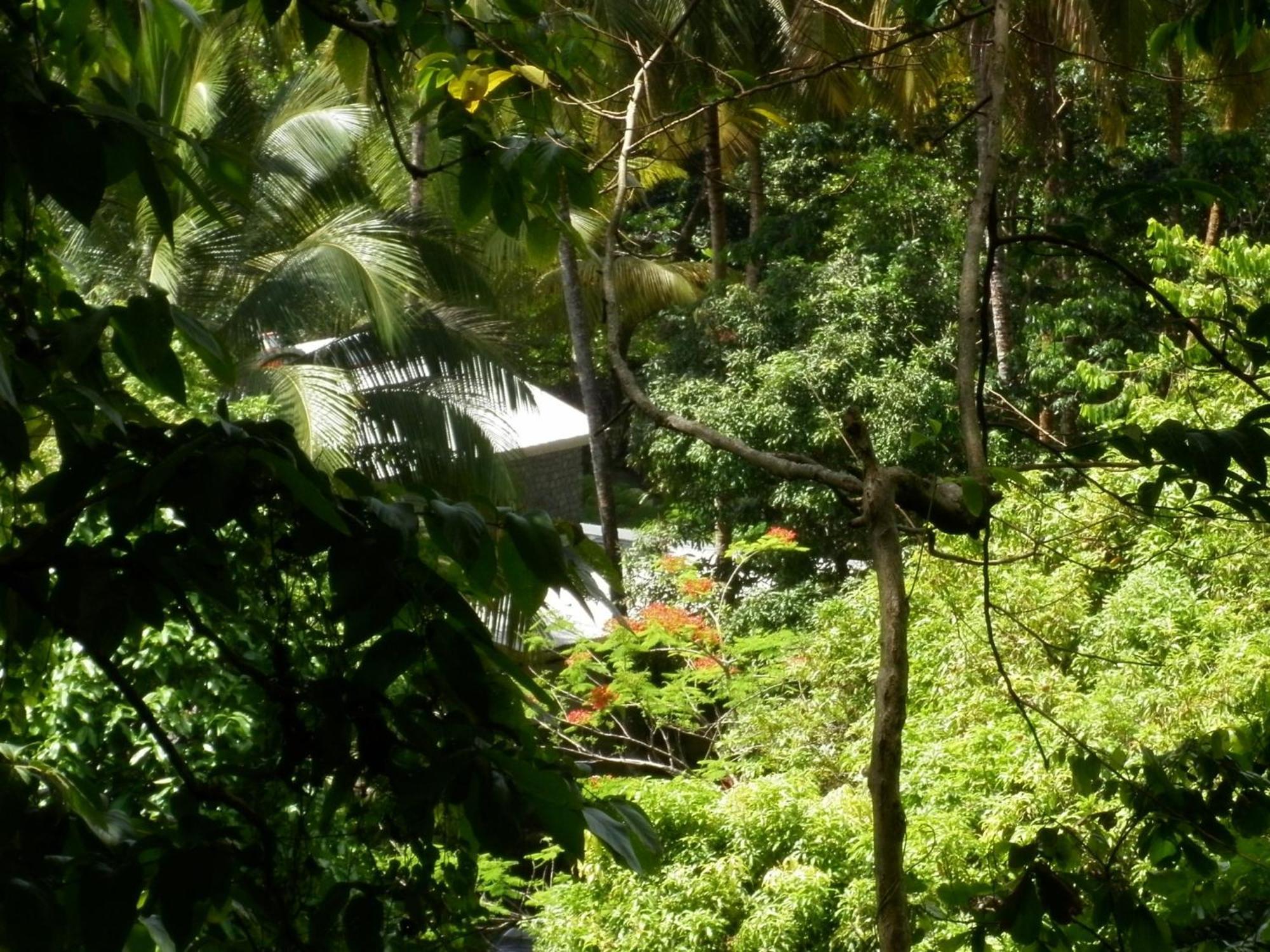 La Plaine Citrus Creek Plantationヴィラ エクステリア 写真