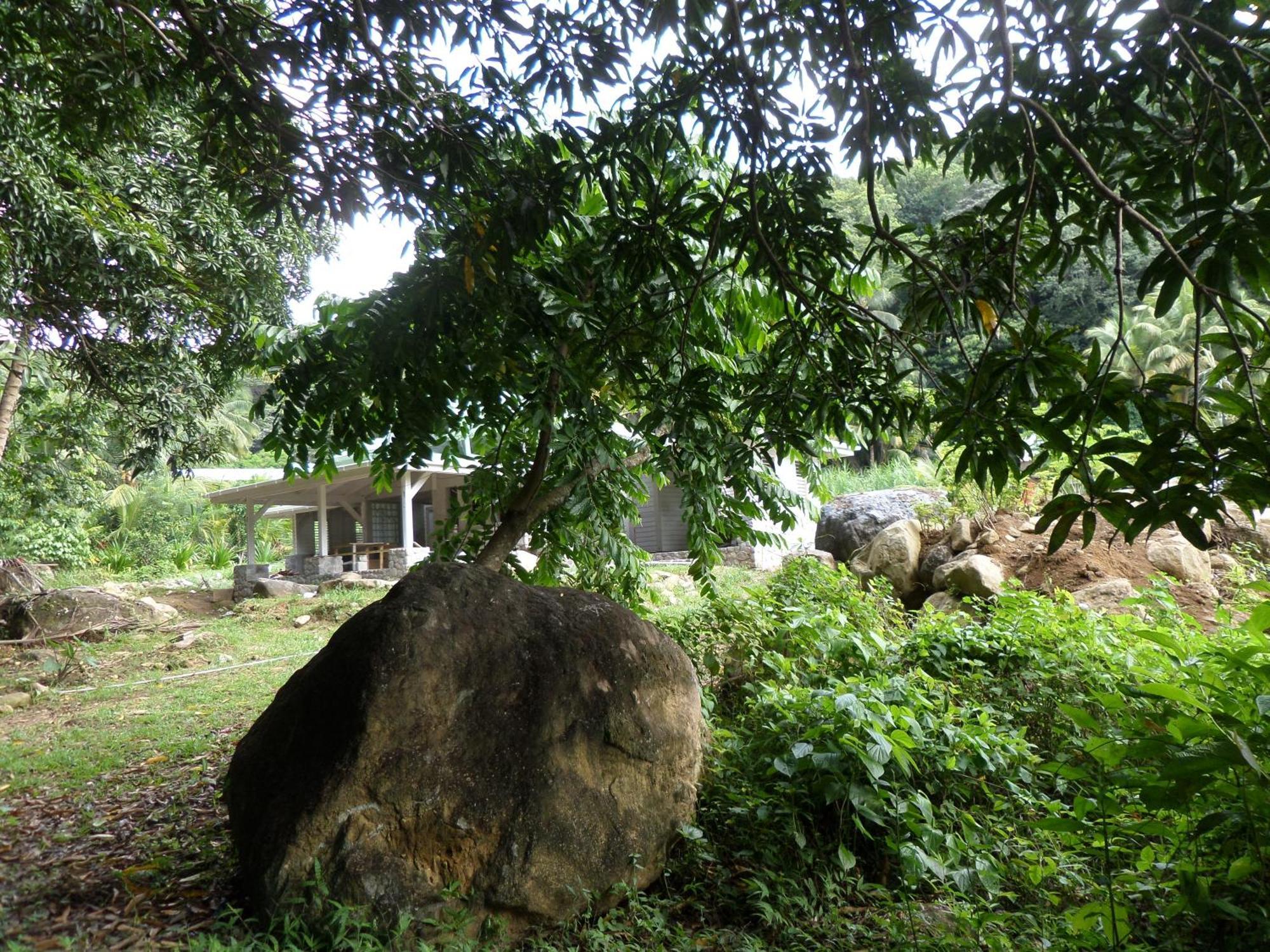 La Plaine Citrus Creek Plantationヴィラ 部屋 写真