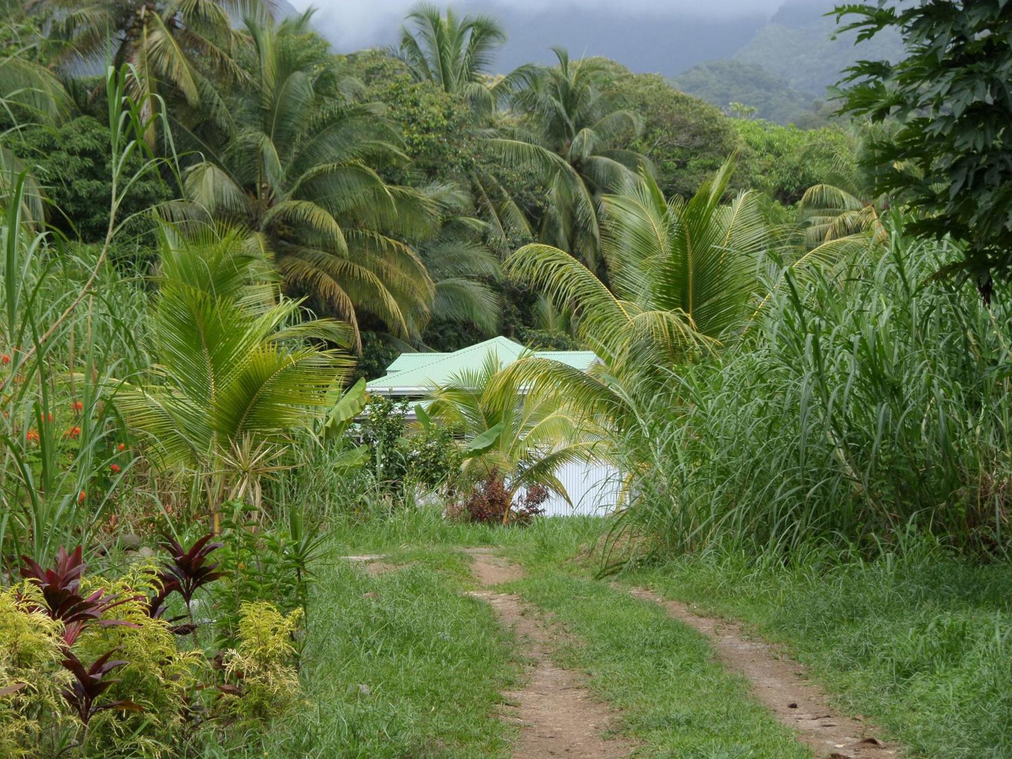 La Plaine Citrus Creek Plantationヴィラ 部屋 写真