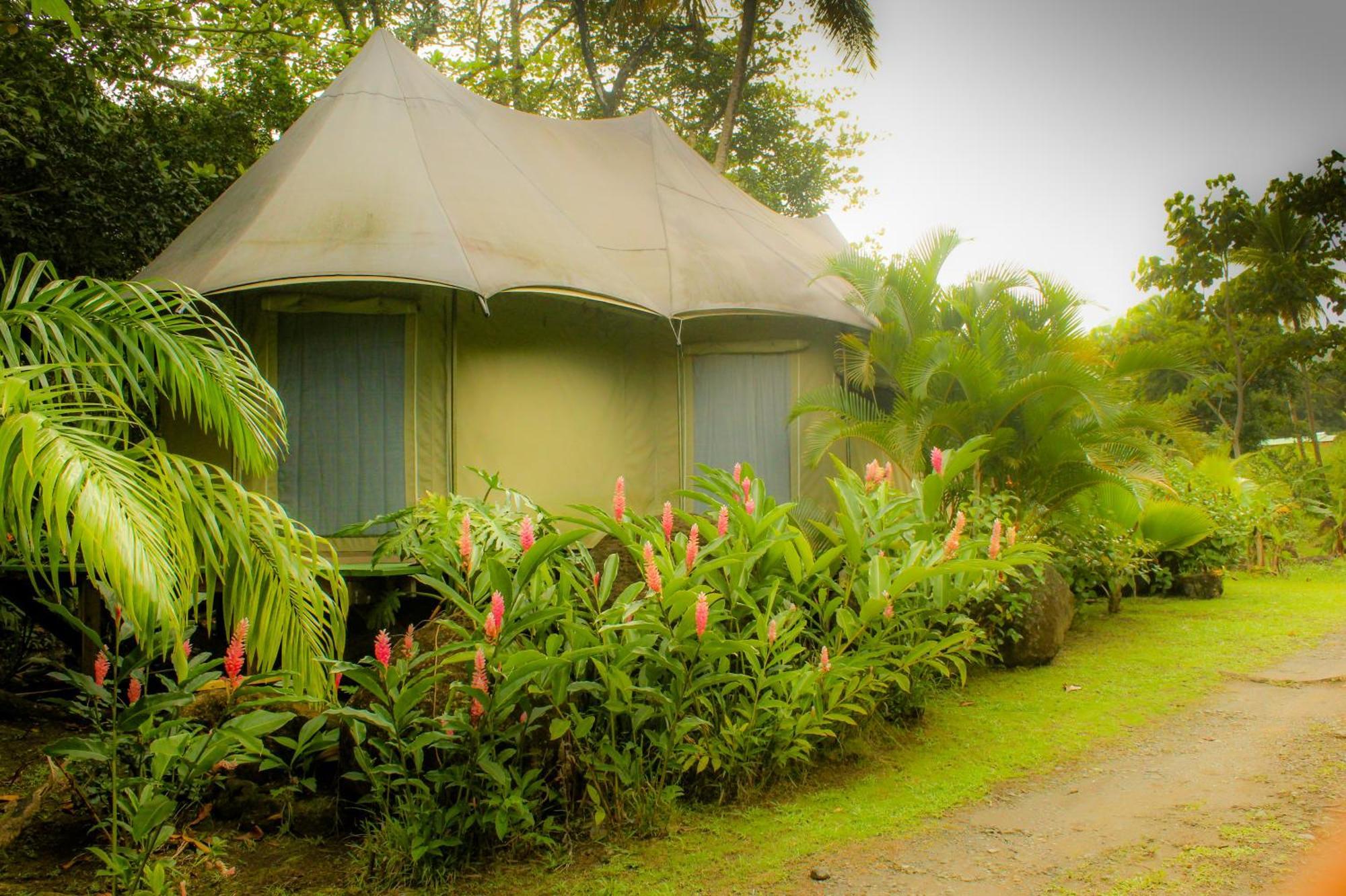 La Plaine Citrus Creek Plantationヴィラ 部屋 写真