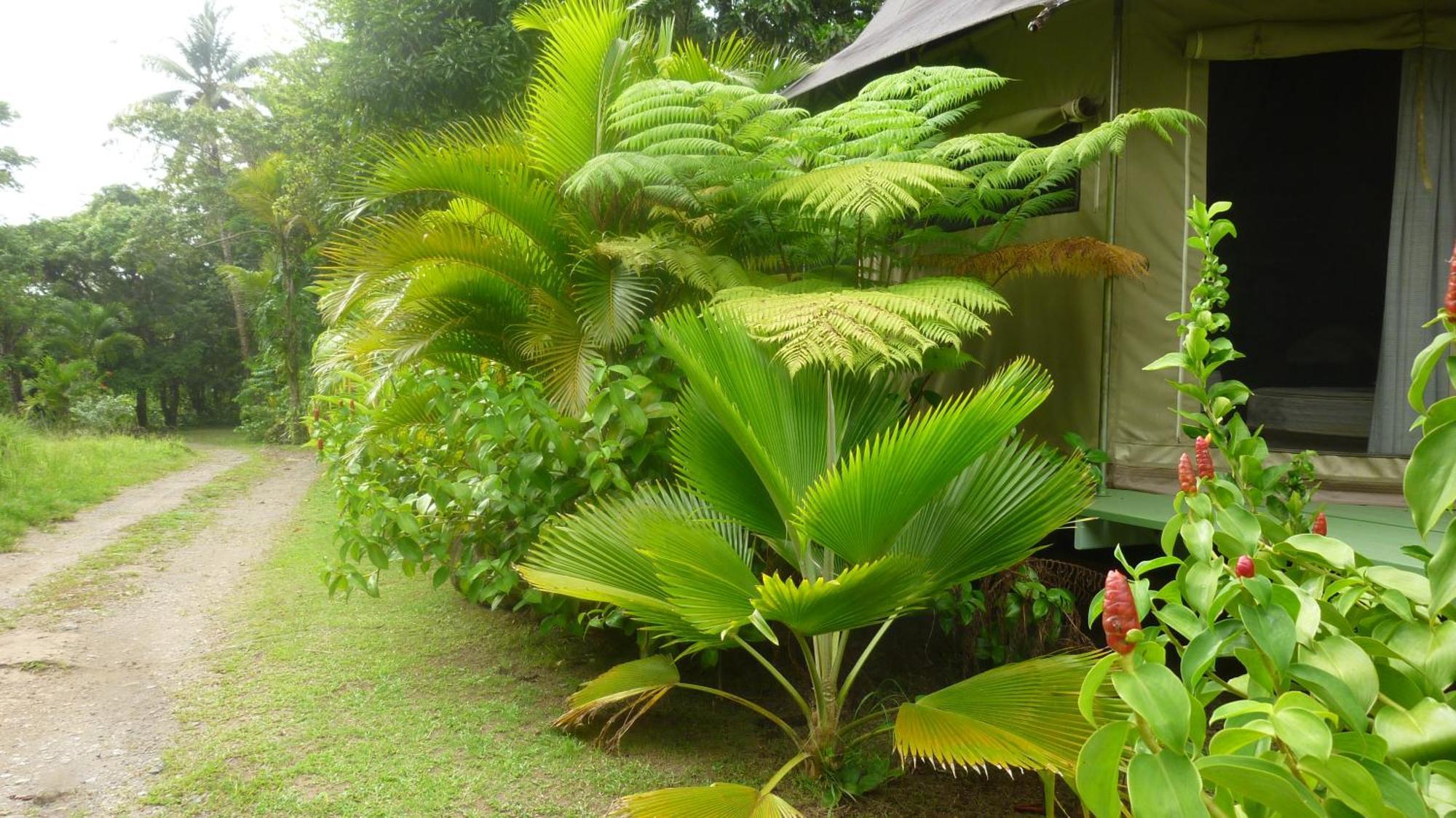 La Plaine Citrus Creek Plantationヴィラ 部屋 写真