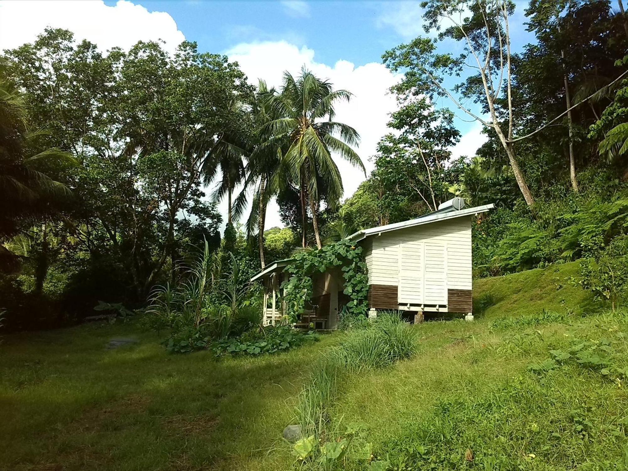 La Plaine Citrus Creek Plantationヴィラ 部屋 写真