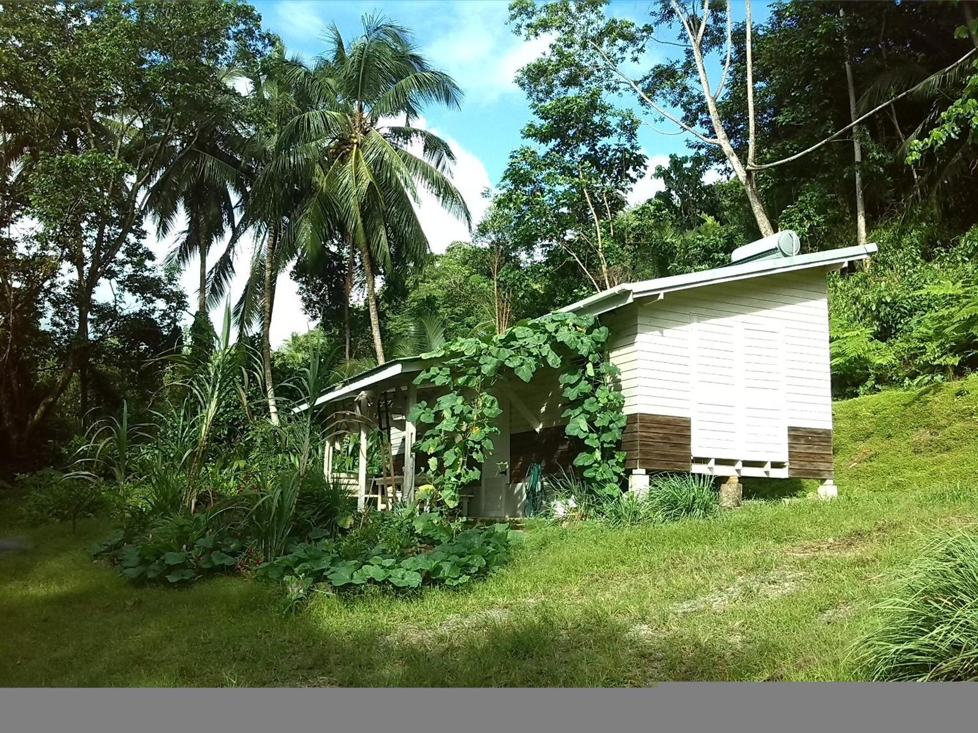 La Plaine Citrus Creek Plantationヴィラ 部屋 写真