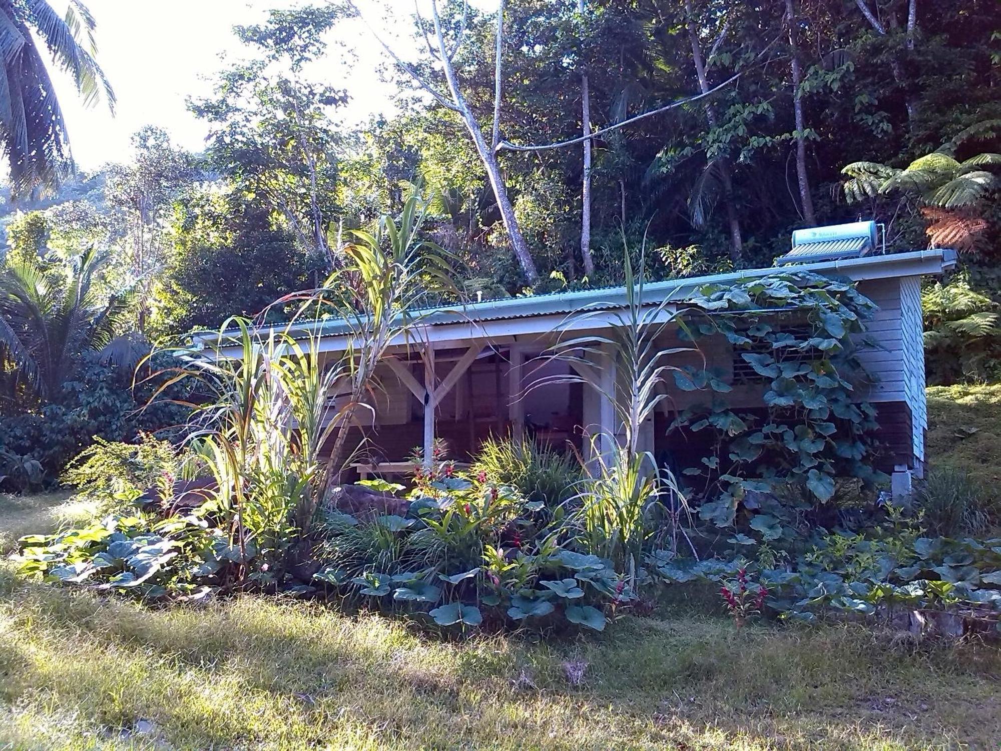 La Plaine Citrus Creek Plantationヴィラ 部屋 写真