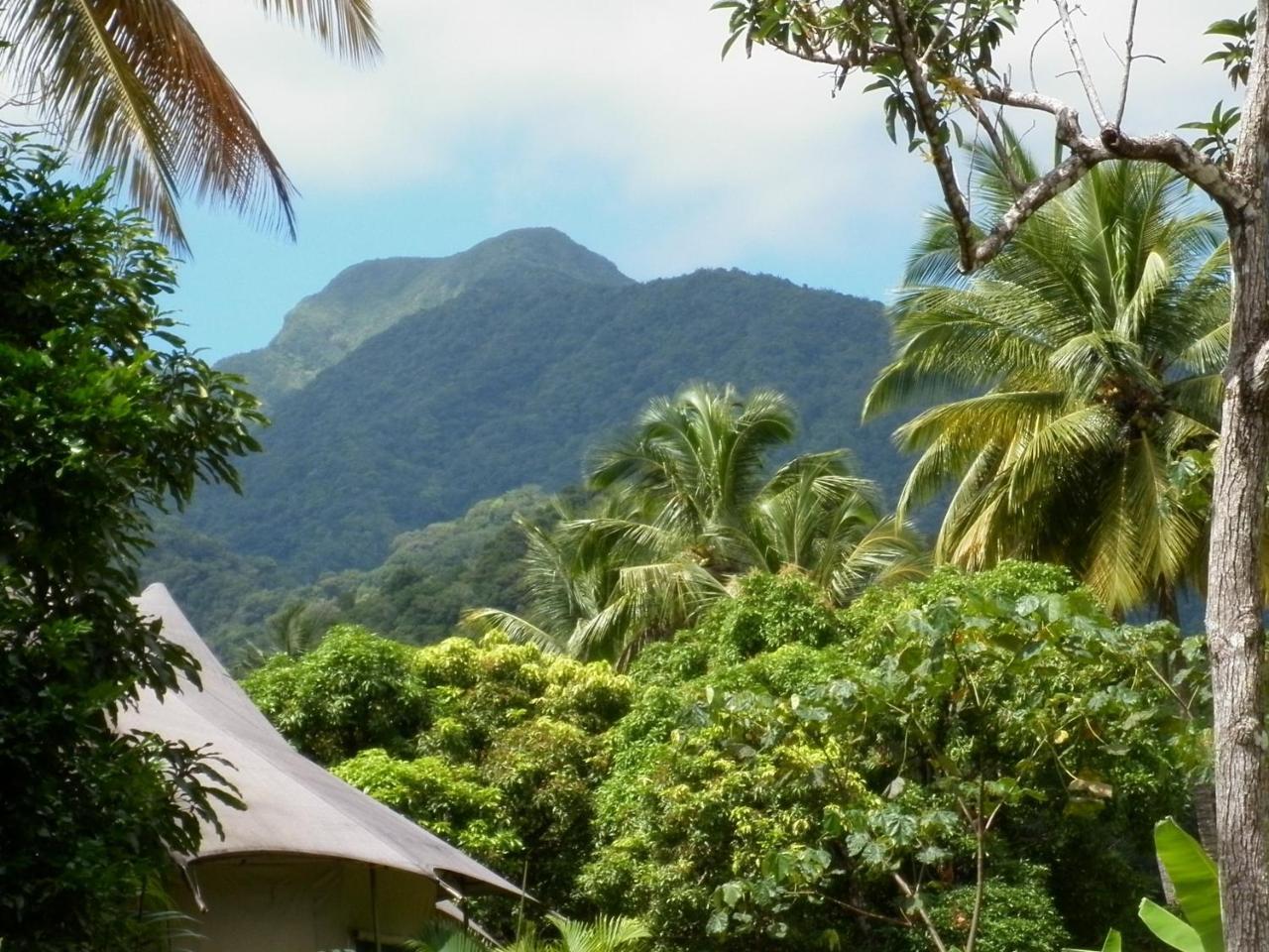 La Plaine Citrus Creek Plantationヴィラ エクステリア 写真