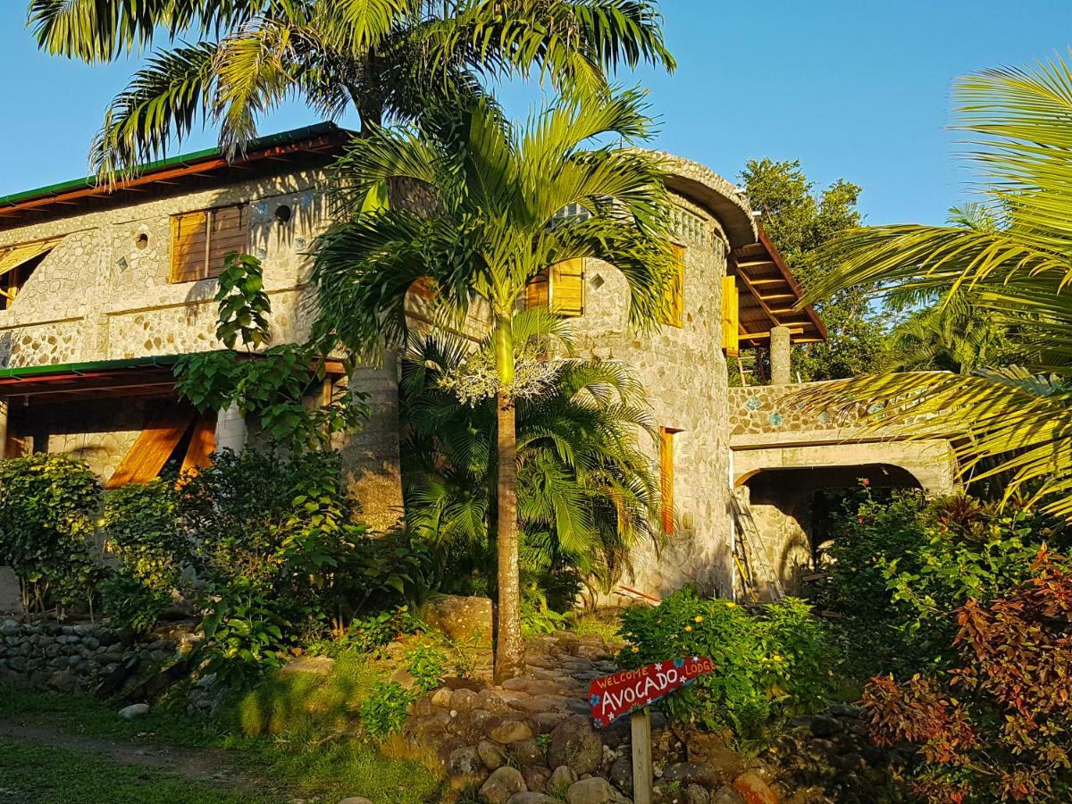 La Plaine Citrus Creek Plantationヴィラ エクステリア 写真