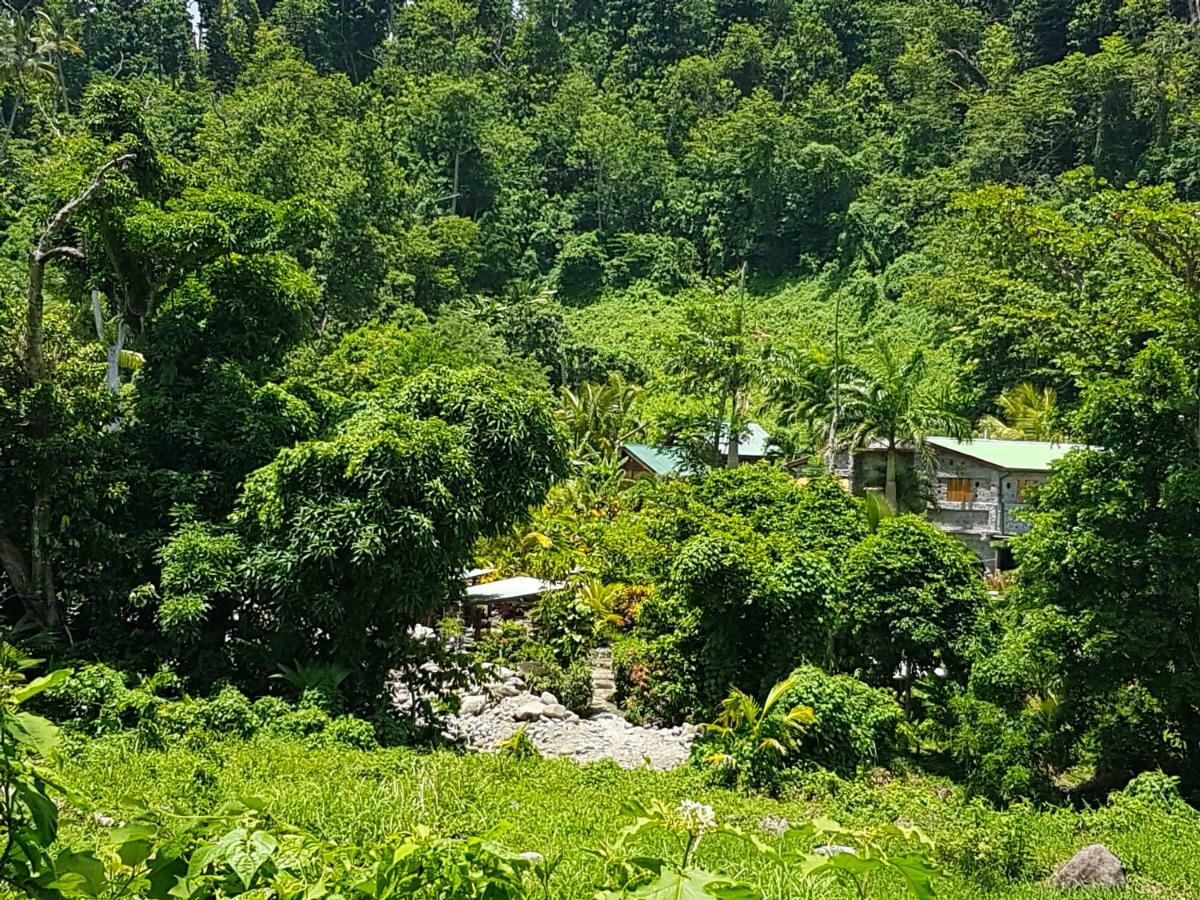 La Plaine Citrus Creek Plantationヴィラ エクステリア 写真